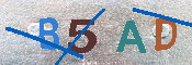 CAPTCHA Image