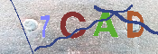 CAPTCHA Image